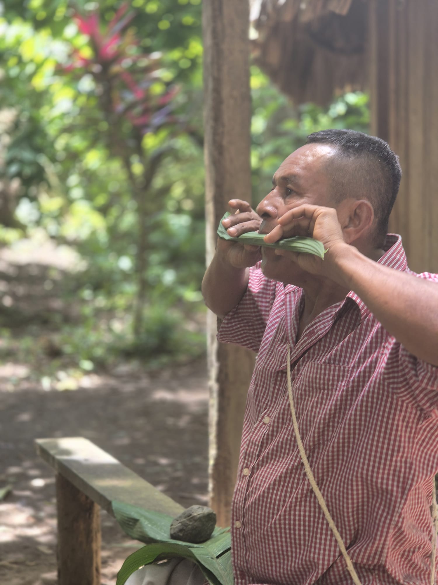Activités retraite Costa Rica
