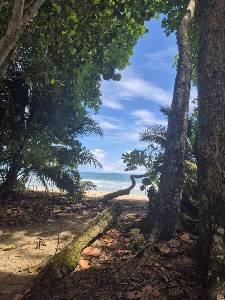 Paysage Costa Rica